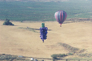 Concord Flight #16.jpg (18831 bytes)