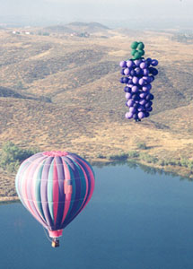 Concord Flight #6.jpg (18402 bytes)