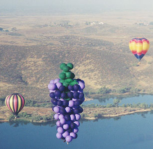 Concord Flight #7.jpg (26620 bytes)