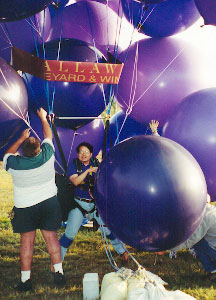 Concord Inflation #8.jpg (25248 bytes)