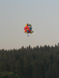 idaho_26.jpg (6036 bytes)