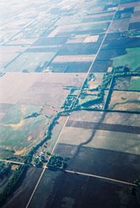 Flight 07.jpg (19261 bytes)