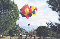 wpe53015.gif (26241 bytes)