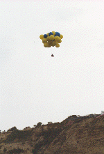 Ocean08.gif (19013 bytes)