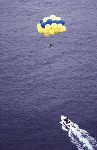 Ocean19.jpg (8137 bytes)