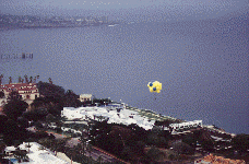 wpe53356.gif (20707 bytes)