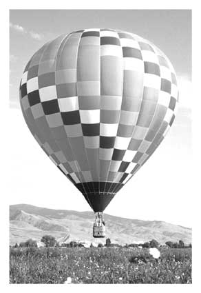 Necessity BW.jpg (13831 bytes)