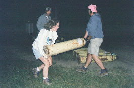 C8_infl01.jpg (11925 bytes)