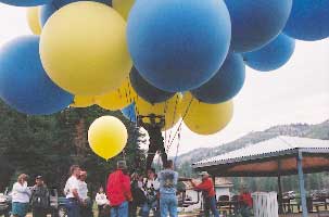 C8_infl06.jpg (10182 bytes)