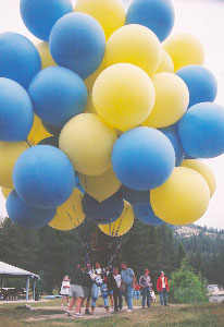 C8_infl07.jpg (18648 bytes)