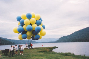 C8_infl08.jpg (13948 bytes)