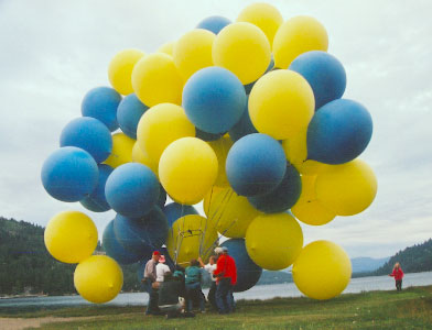 C8_infl09.jpg (26655 bytes)