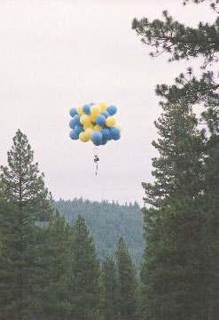 C8_land01.jpg (21408 bytes)