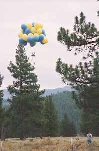 C8_land02.jpg (19375 bytes)