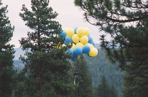 C8_land03.jpg (23533 bytes)