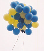 C8_land06.jpg (6258 bytes)