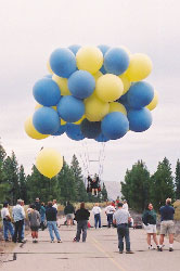 C8_land07.jpg (12941 bytes)